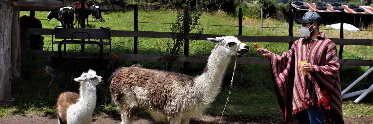 William Perugachi Calderón banner