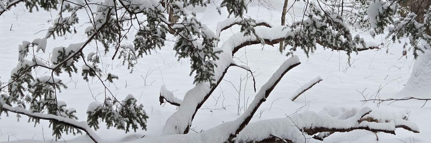 Winter (33.3%) 💸 banner