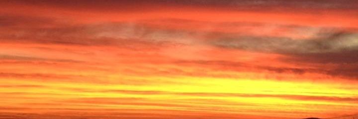 bordercharlie's profile banner image