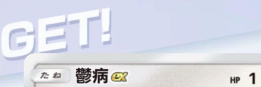 Nera banner