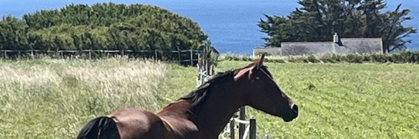 jyves2 Profile Banner