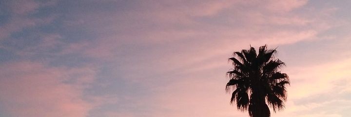cotip96's profile banner image