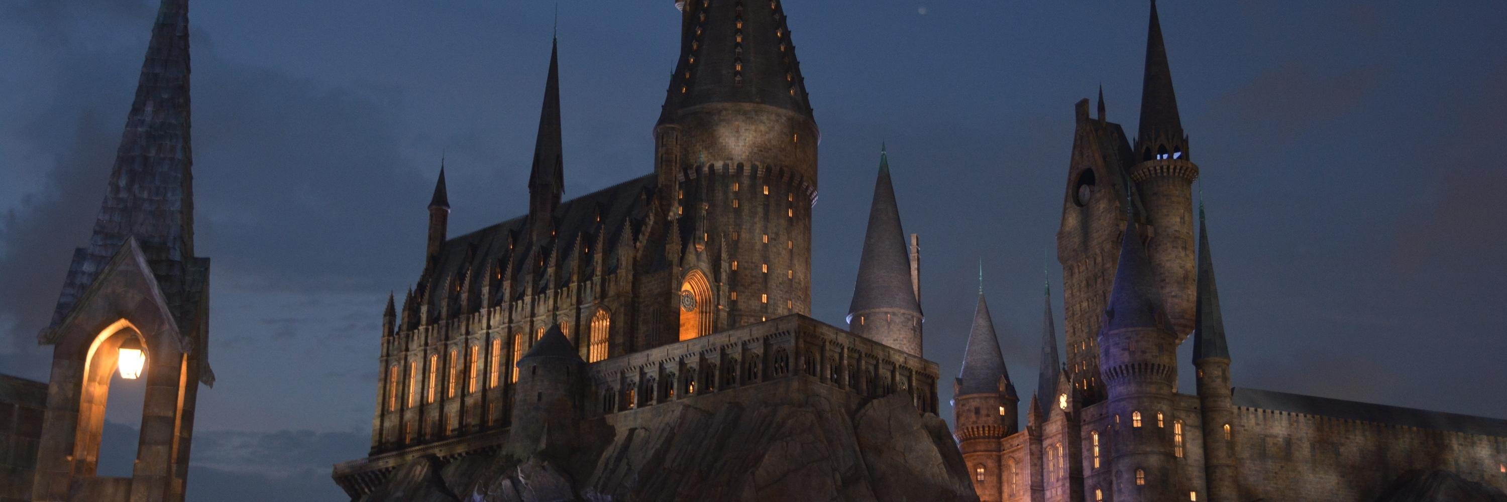 くま@復活して行動しすぎています。 banner