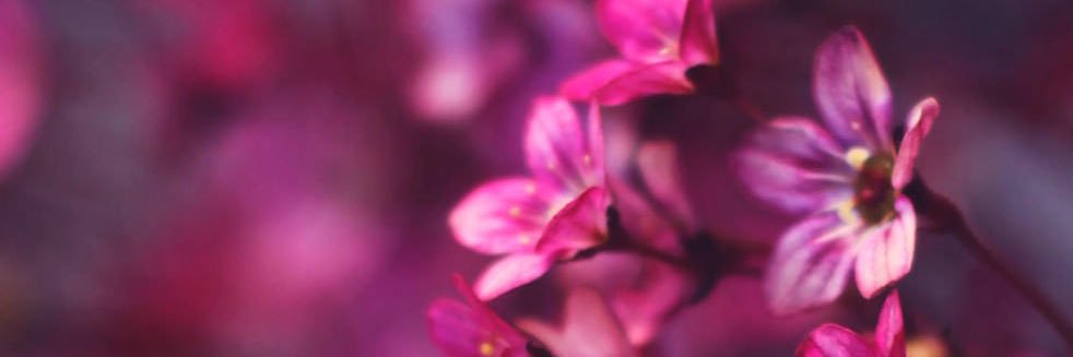 mgundred's profile banner image