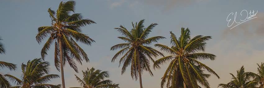 ElDistritoMx's profile banner image