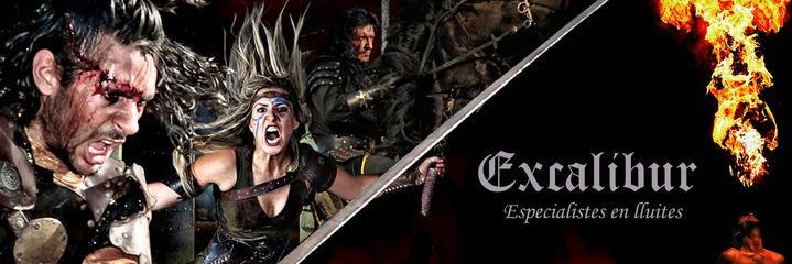 ExcaliburAccio's profile banner image