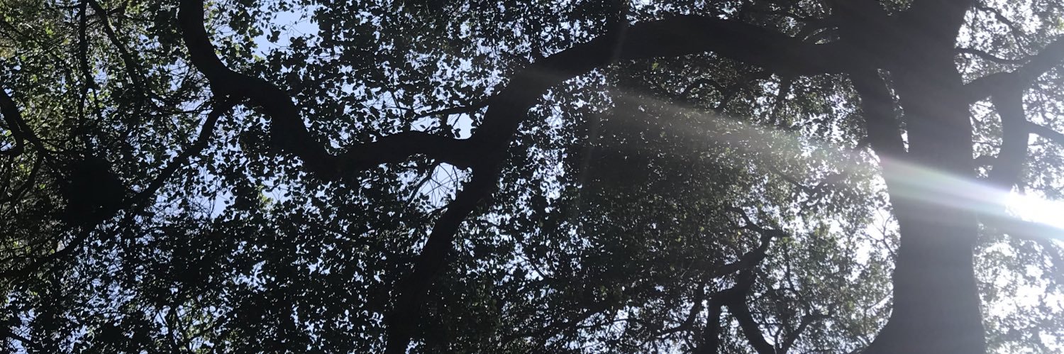 💪🏿🍉Spottless ☭Marxx❤️‍🩹 banner