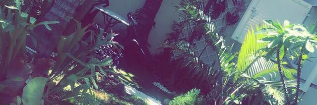 _lauryne971's profile banner image
