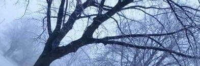 ruinedtale's profile banner image