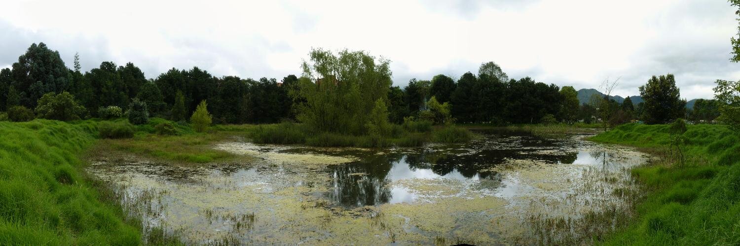 Daniel Bernal banner