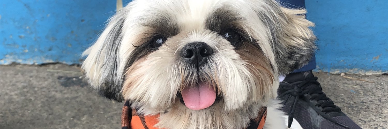 Sabrina Chaves banner