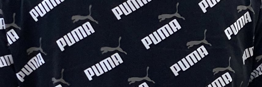 小島うどん banner