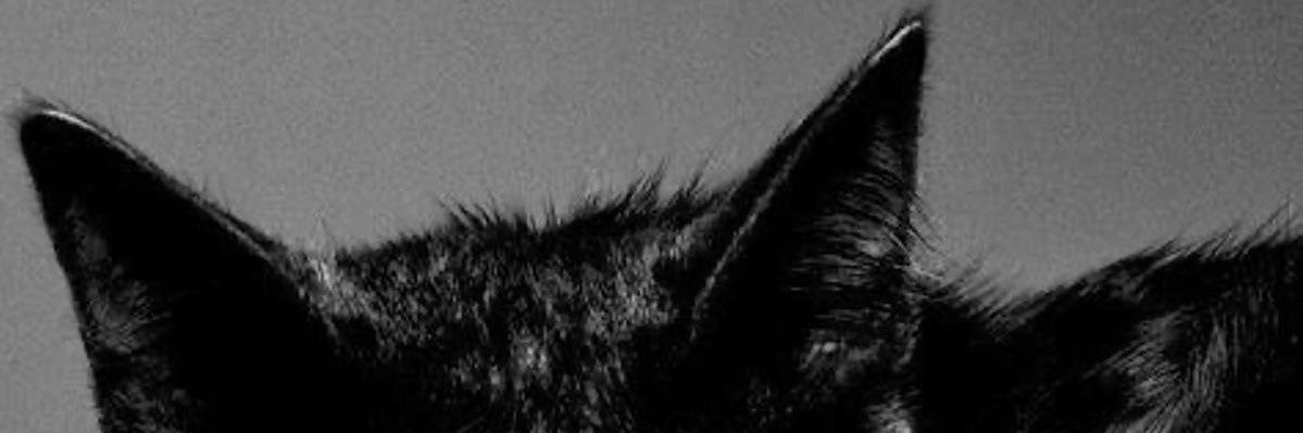 busyandtired banner