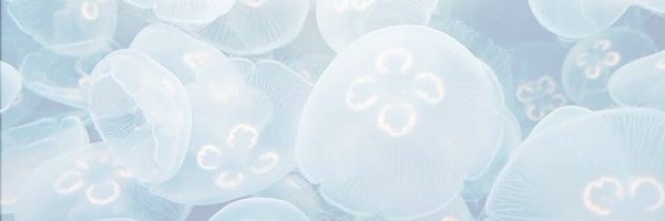 matruenthusiast Profile Banner