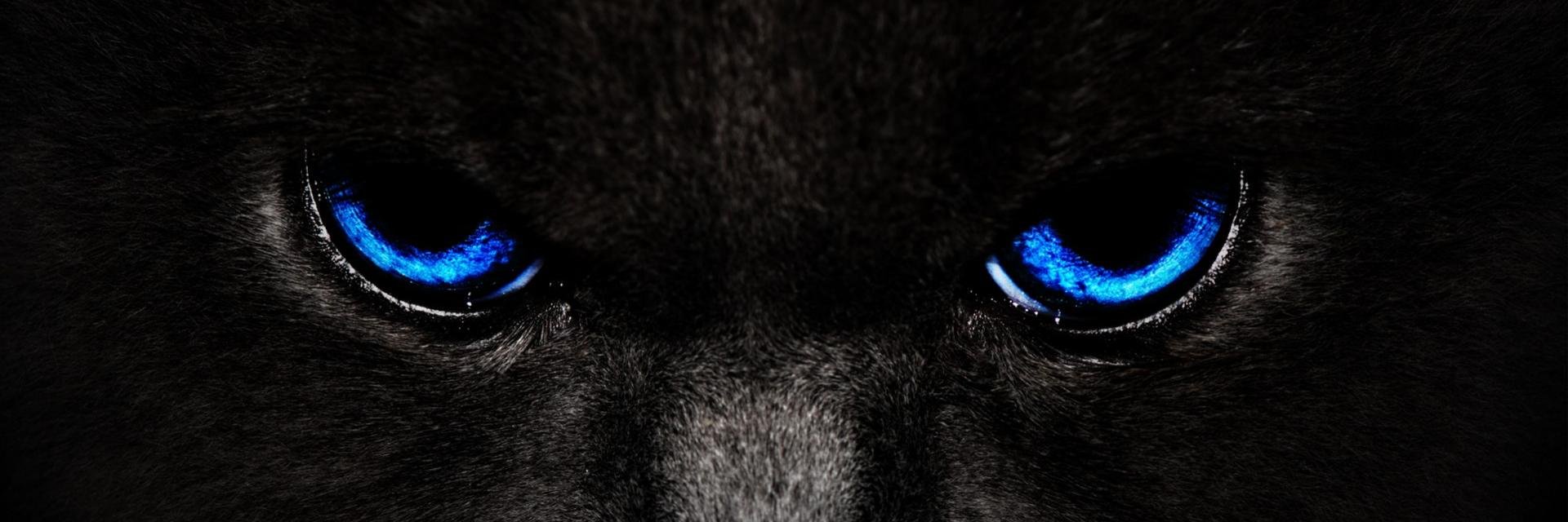 krislard18's profile banner image