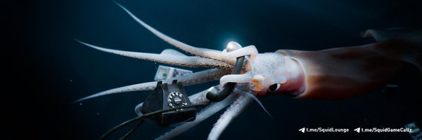 0xFrontman Profile Banner