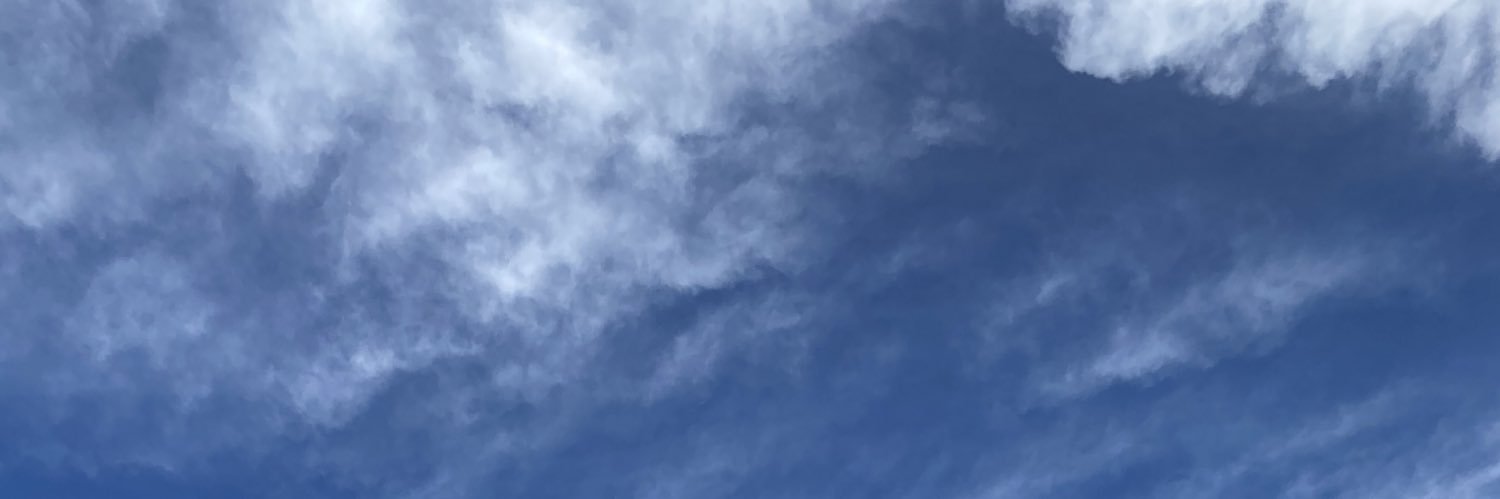 jaylee banner