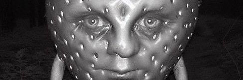 mauckson_eth's profile banner image