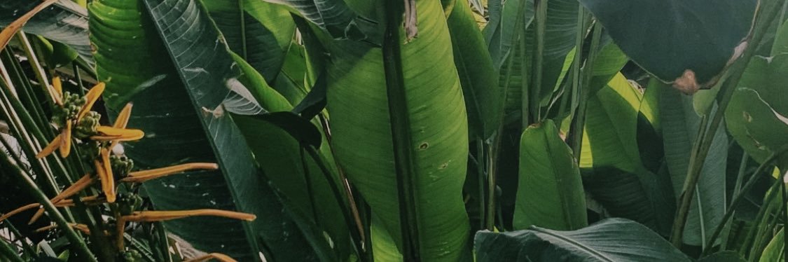 forevershaREETA's profile banner image