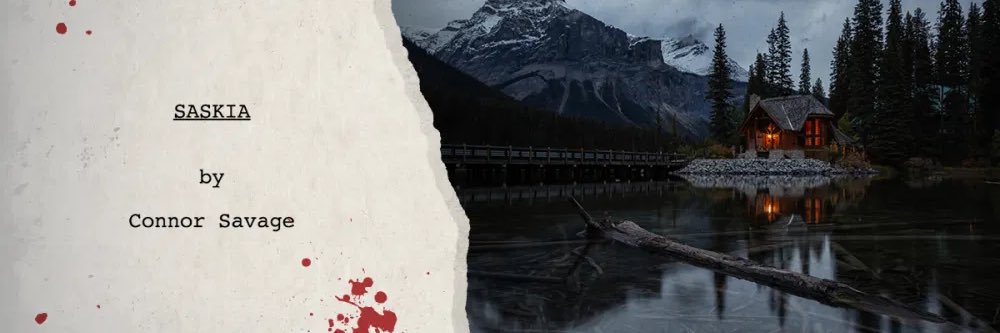 ConnorSavage1's profile banner image