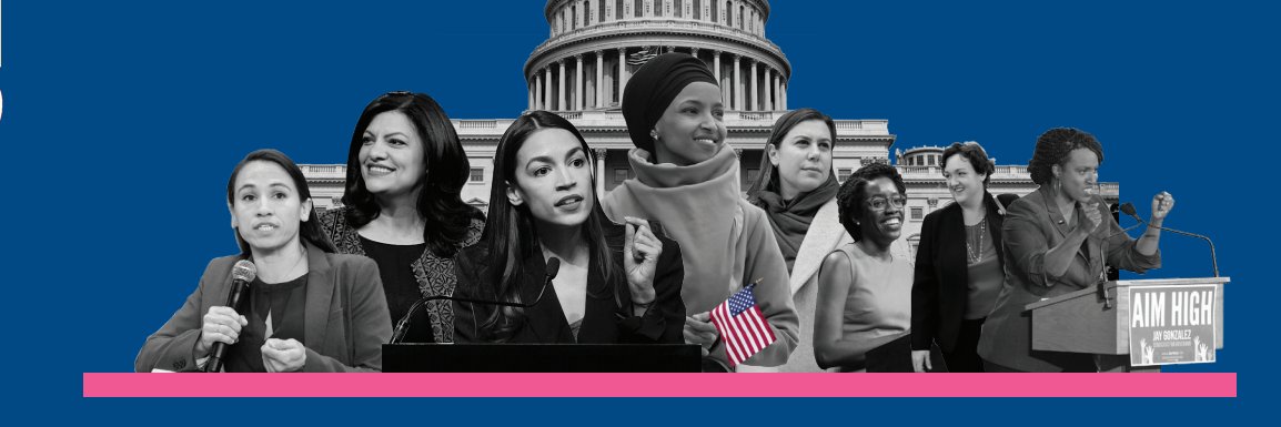 jennifer steinhauer banner