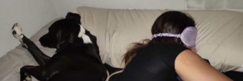 â banner