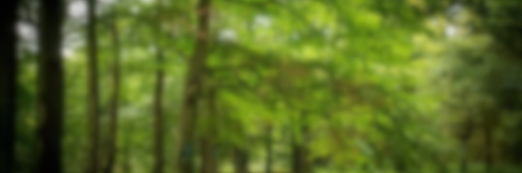 Roll For Adventure banner