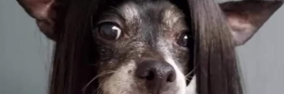 Dudaaxavierv's profile banner image