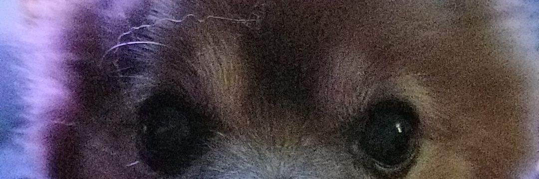 cindyclarinet's profile banner image