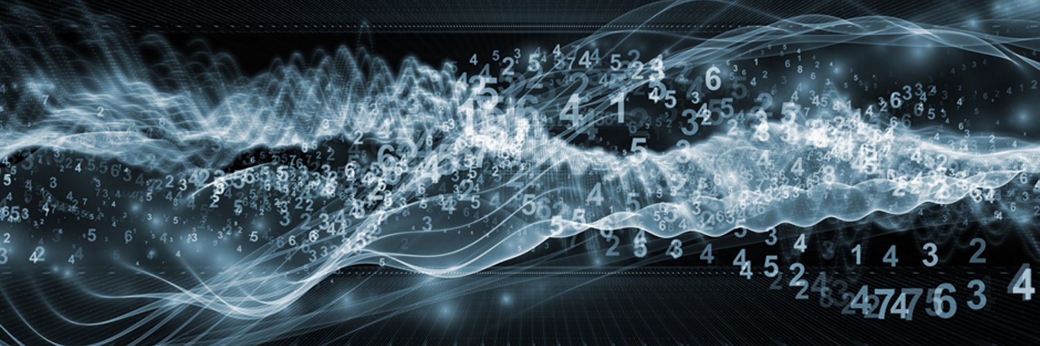 Nicolas Bidon banner