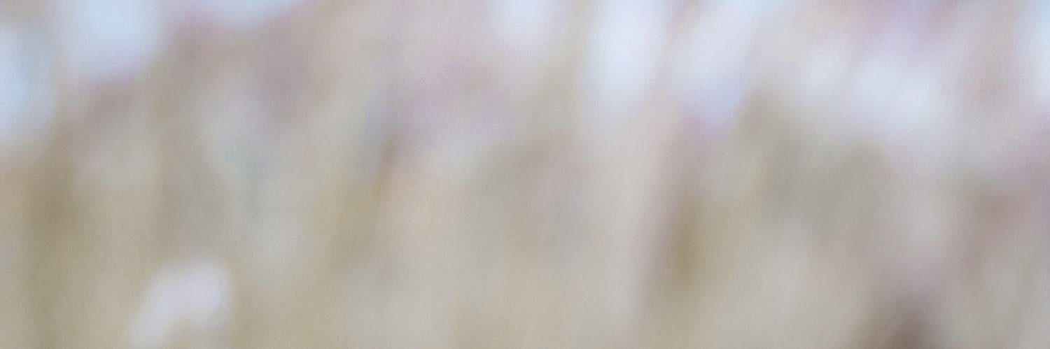 meliimrg's profile banner image