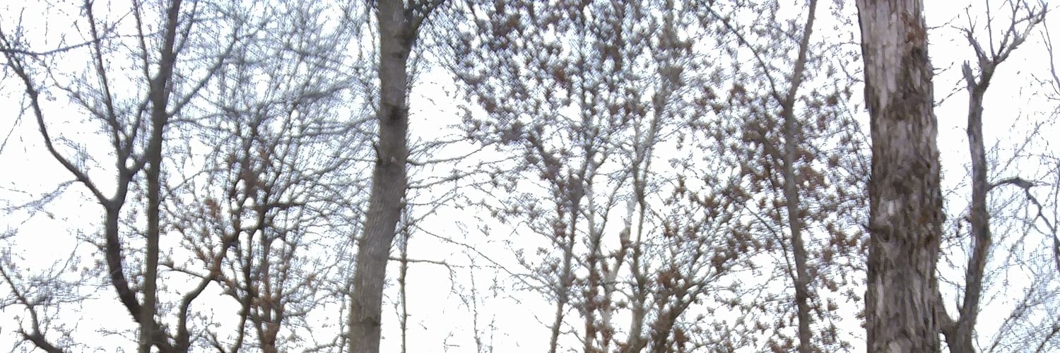 biggulpz's profile banner image