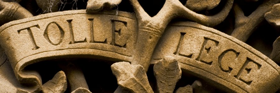 Auldluð's banner