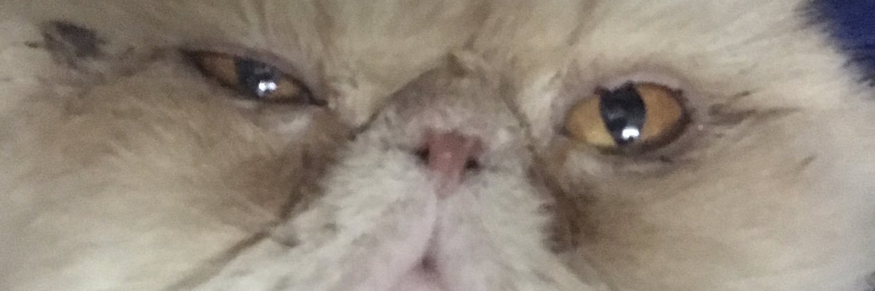 nette143's profile banner image