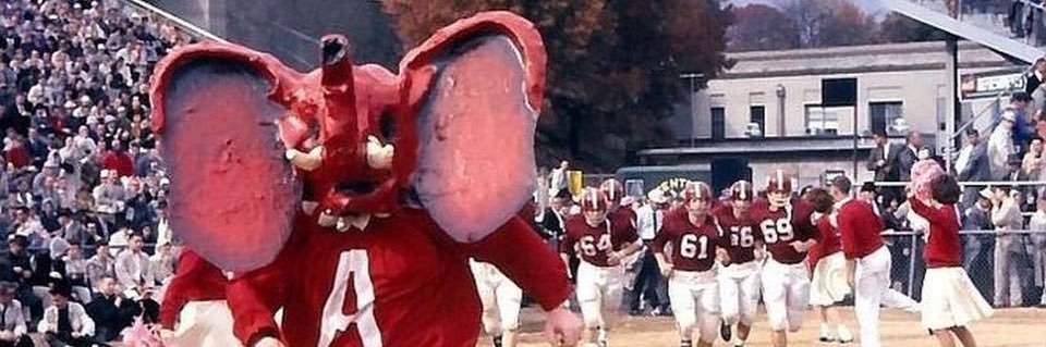 Cary Clark 🦣 banner