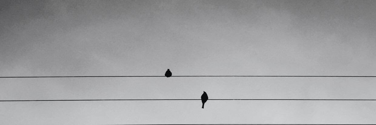 halitcihanbeyli's profile banner image