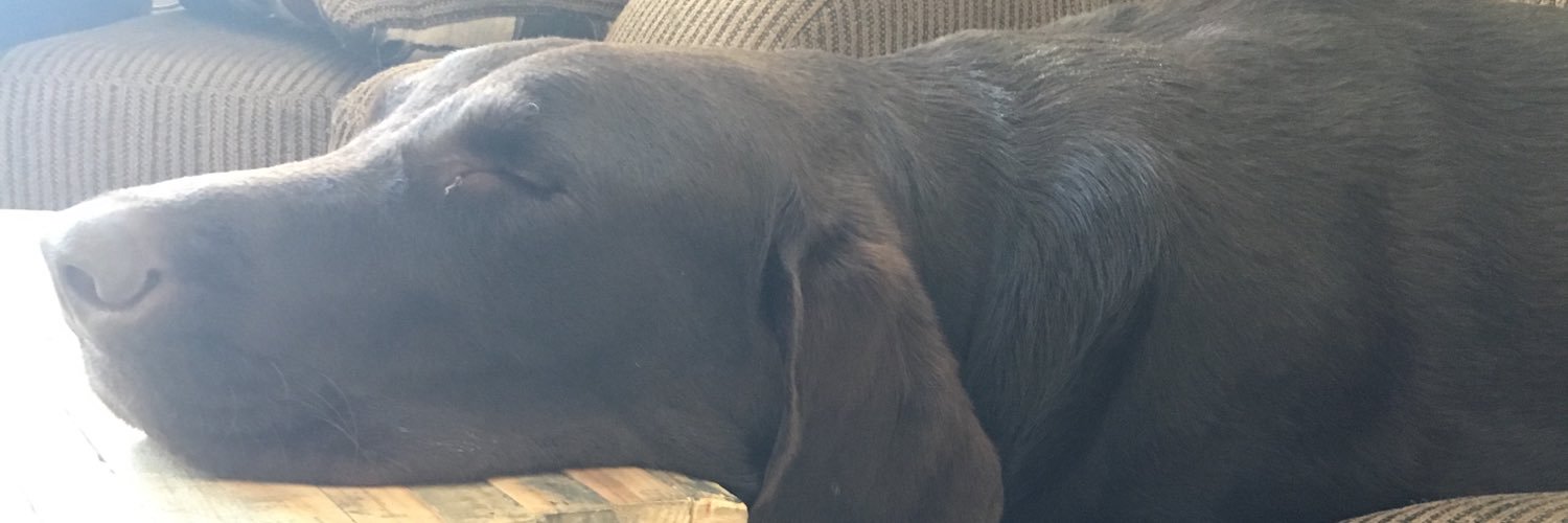 hotmessexpress banner