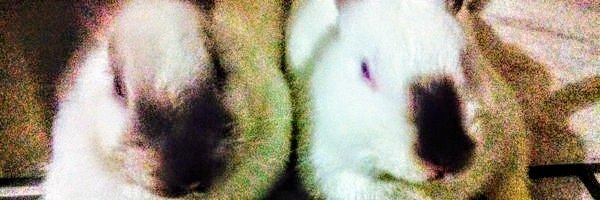 Marco Vinicio® (Za Podebu ) banner