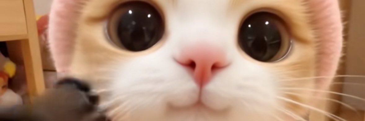 rt_7rx's profile banner image