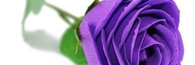 اليماني banner