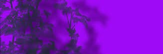 NAer0f's profile banner image