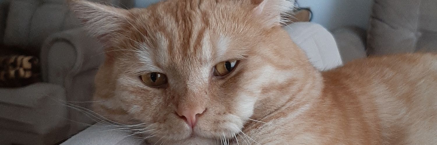 ayben68578's profile banner image