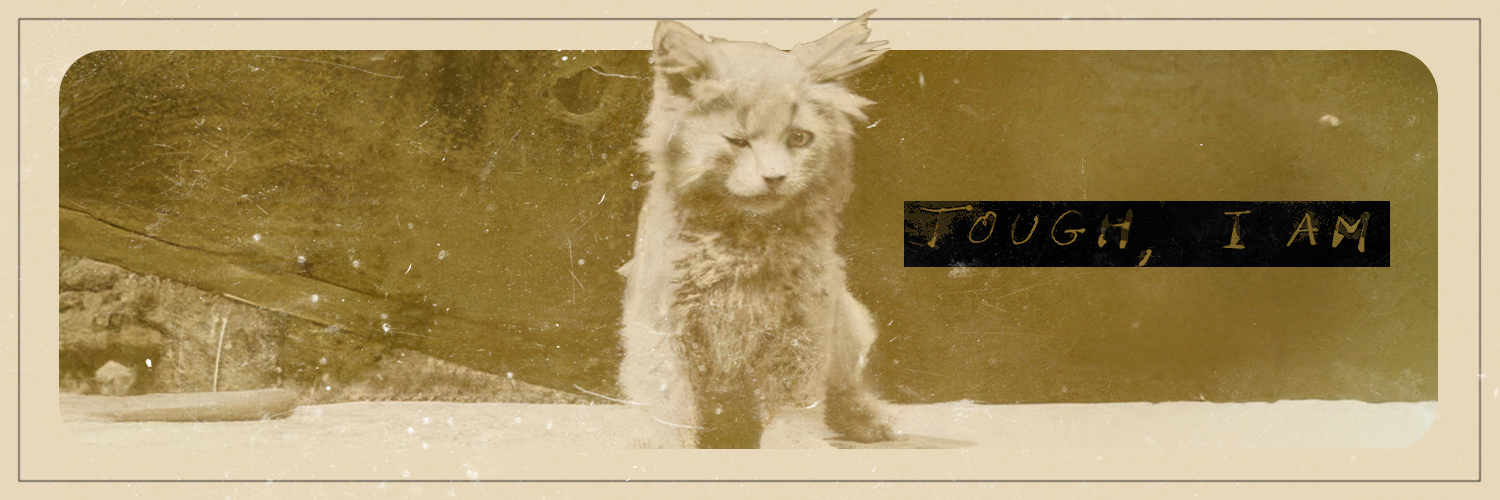 10kLiquid's banner