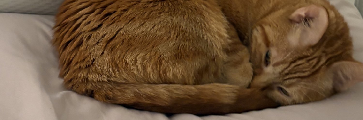 ollie banner