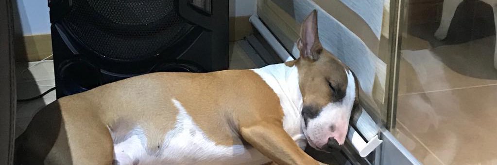 KewinOne's profile banner image