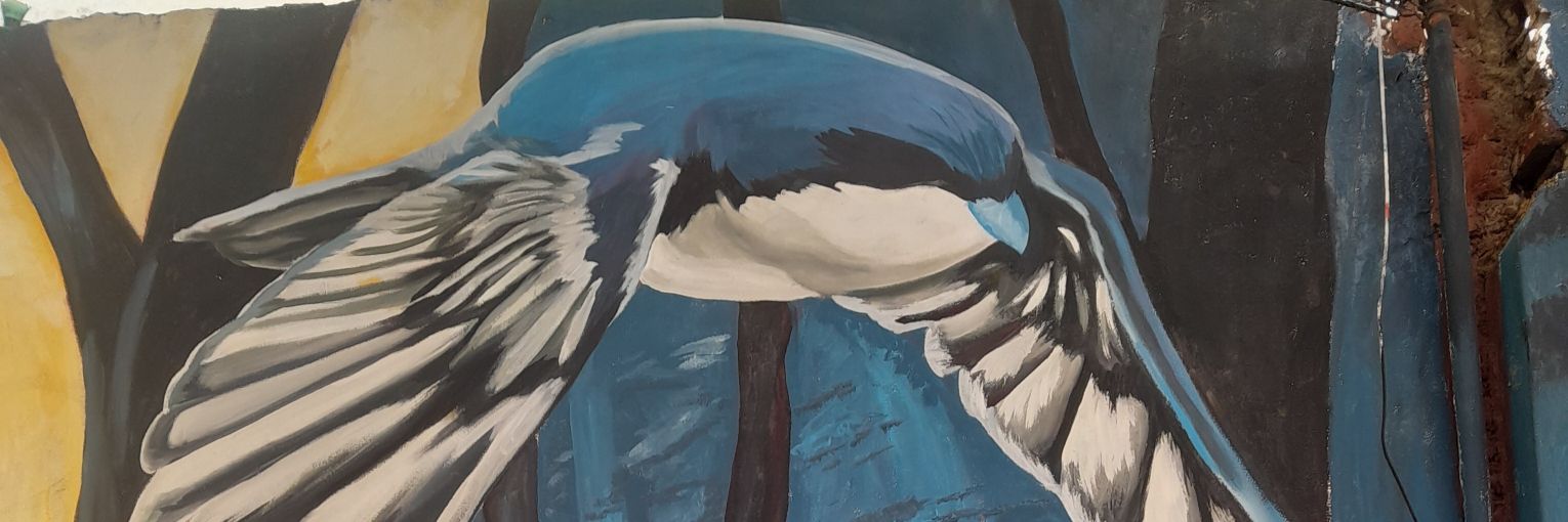 Jorgelina Esteche's banner