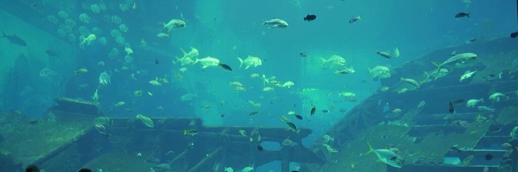 Dian mardiani banner