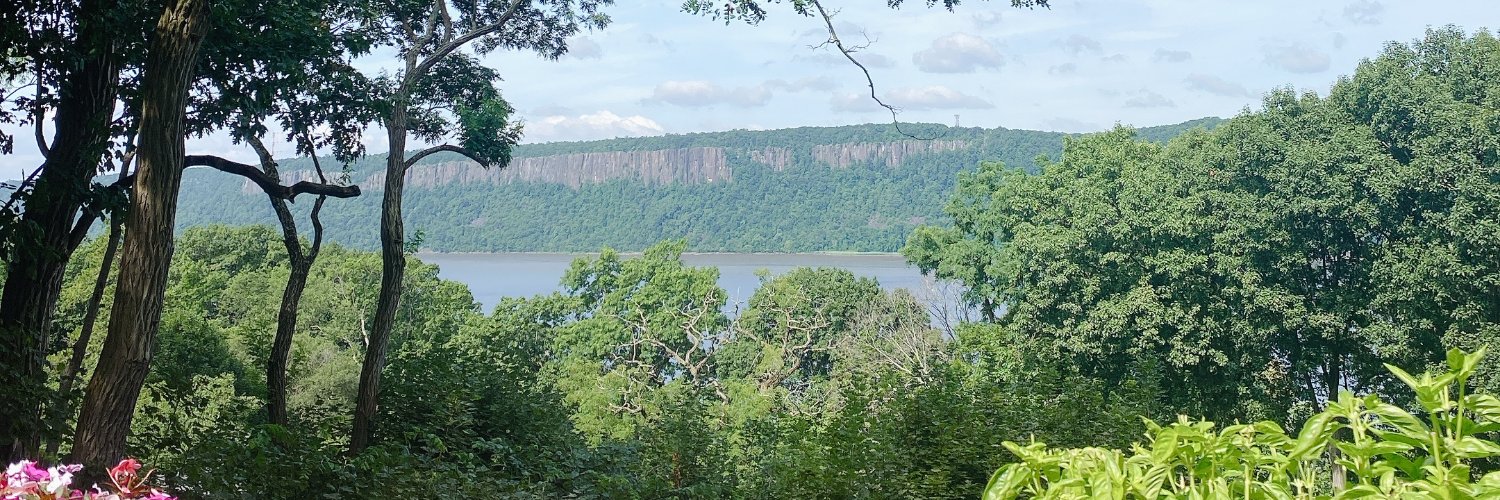 Bonnie Fuller banner