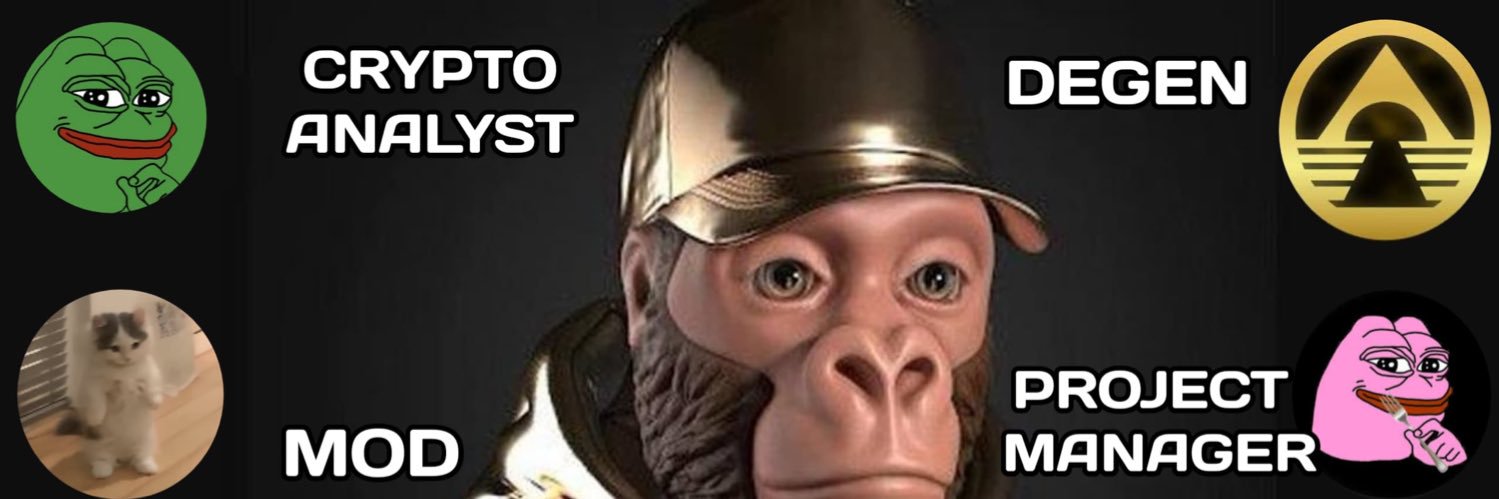 Satoshicanery's banner