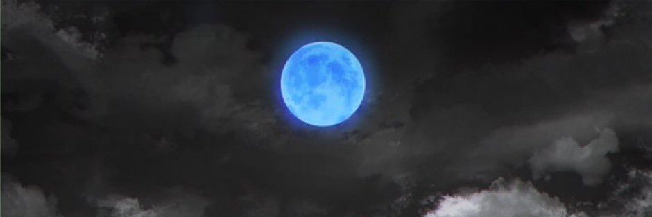 もちねこ banner